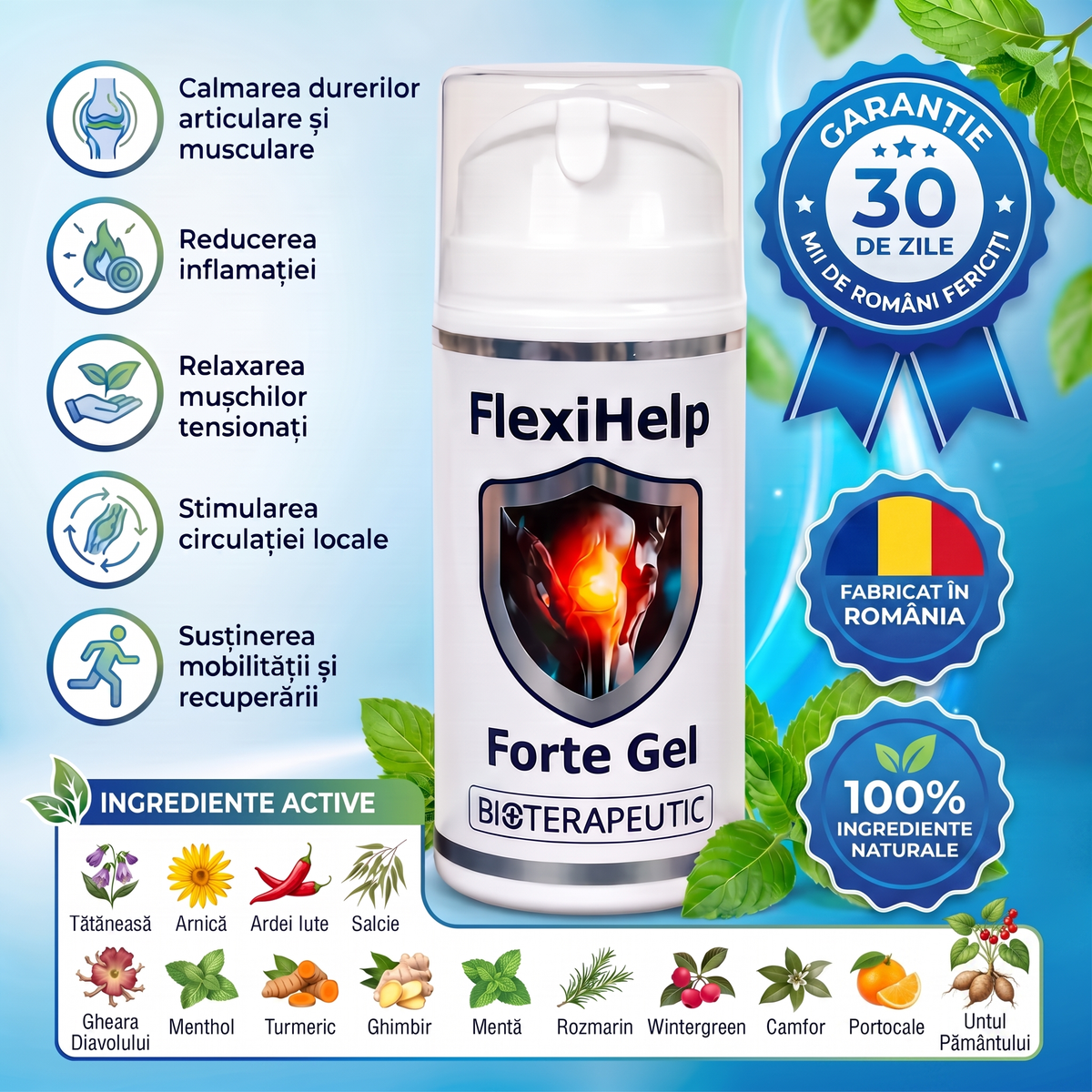 FlexiHelp Forte Gel – Articulații și Mușchi