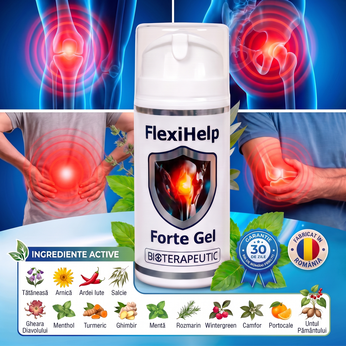 FlexiHelp Forte Gel – Articulații și Mușchi